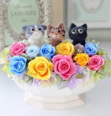 画像: トリプル猫アレンジC（黒猫・トラ猫・スコティッシュ)